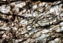 Cristallo Black