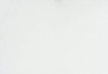 Carrara Florence Gold